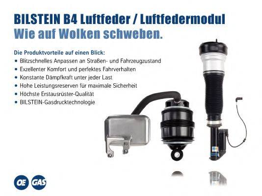 BILSTEIN BIL025120 Амортизатор