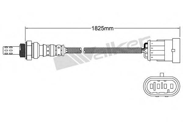 WALKER PRODUCTS 250241096 Лямбда-зонд
