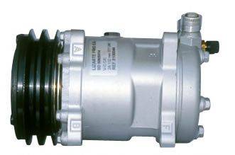 LIZARTE 81.10.11.031