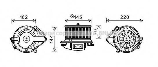 PRASCO CN7505