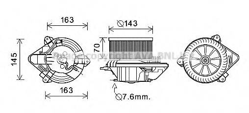 PRASCO CN7510
