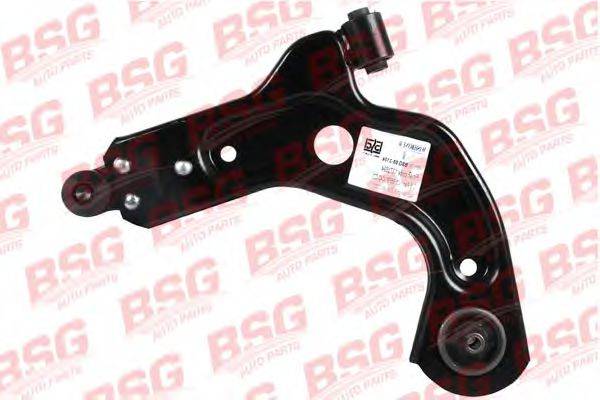 BSG BSG 30-315-010
