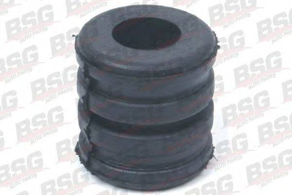 BSG BSG 30-700-256